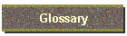 Glossary